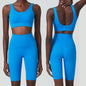 Ladies' Sports Bra and Matching Shorts Set in Multiple Colors