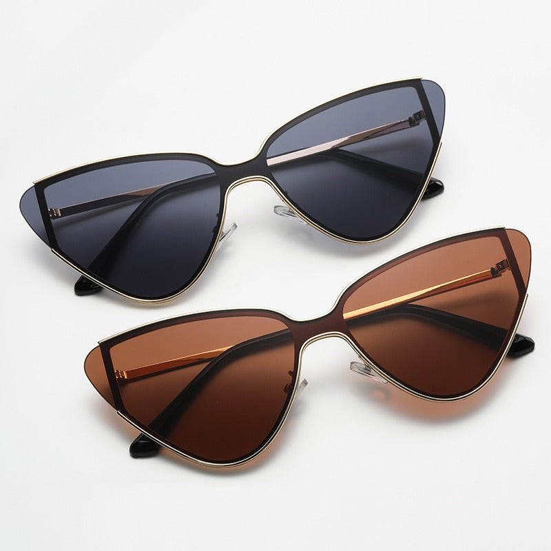 Large Frame Cat Eye Retro Sunglasses for Women