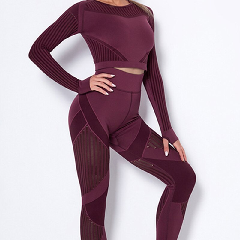 Stylish 2Pcs Yoga Set, Seamless, Long Sleeve with Sheer Panels