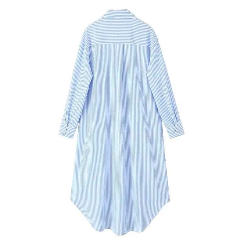 Blue Striped Button-Down Shirt Dress