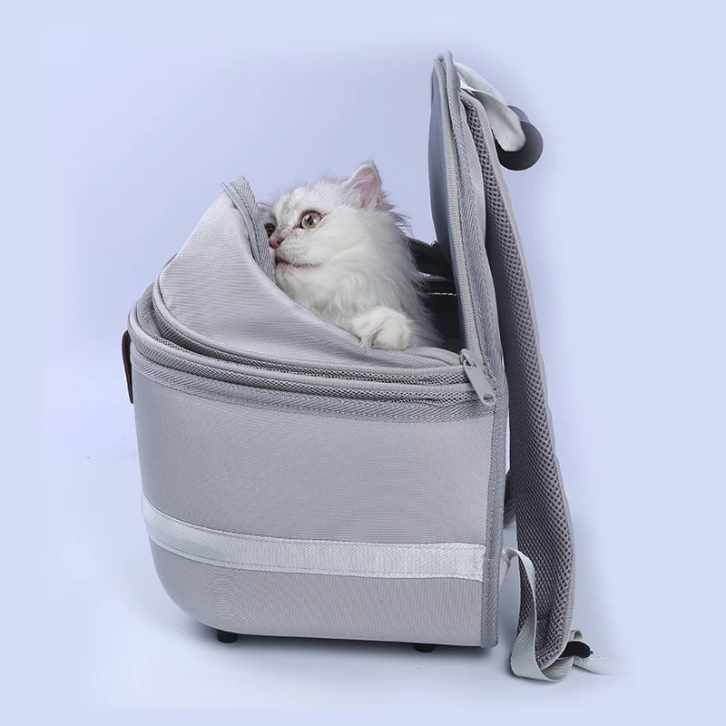 Lightweight Backpack to Carry Small Cat or Dog,  Travel Pet Carrier