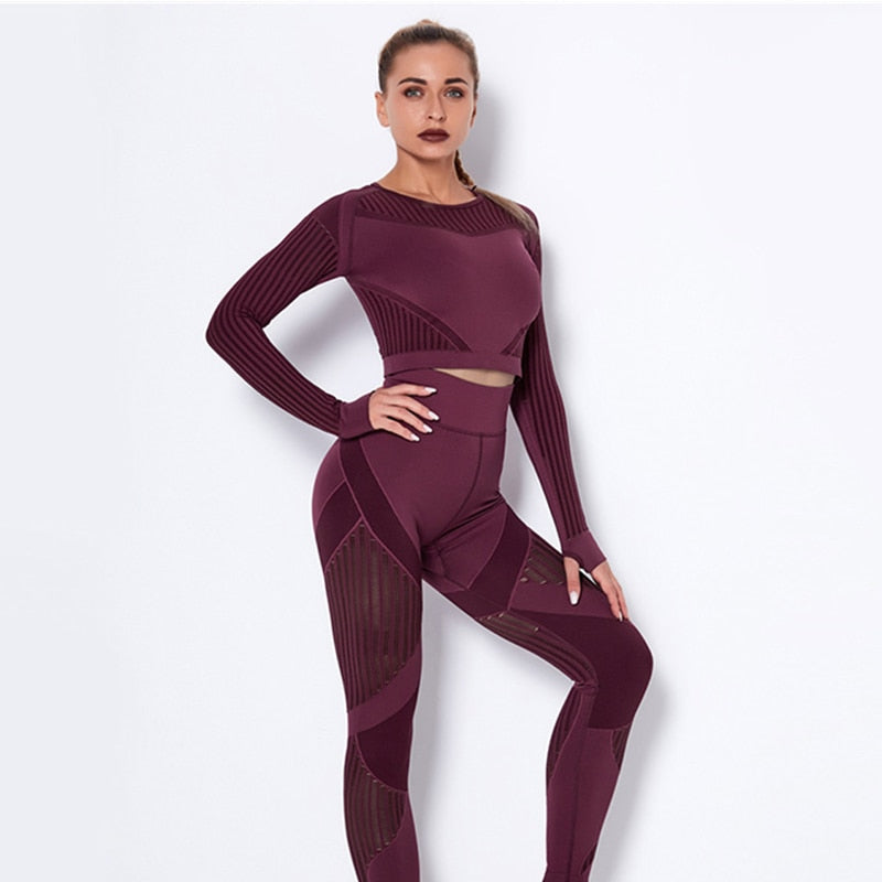 Stylish 2Pcs Yoga Set, Seamless, Long Sleeve with Sheer Panels