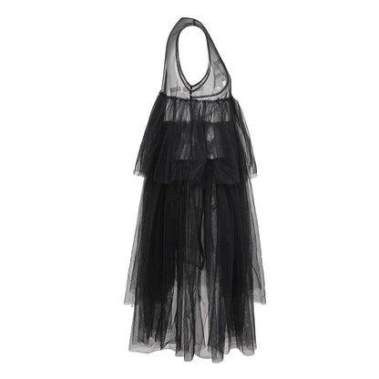 Stylish Sheer Dress With a Flowing Mesh Skirt and an  irregular Hemline.