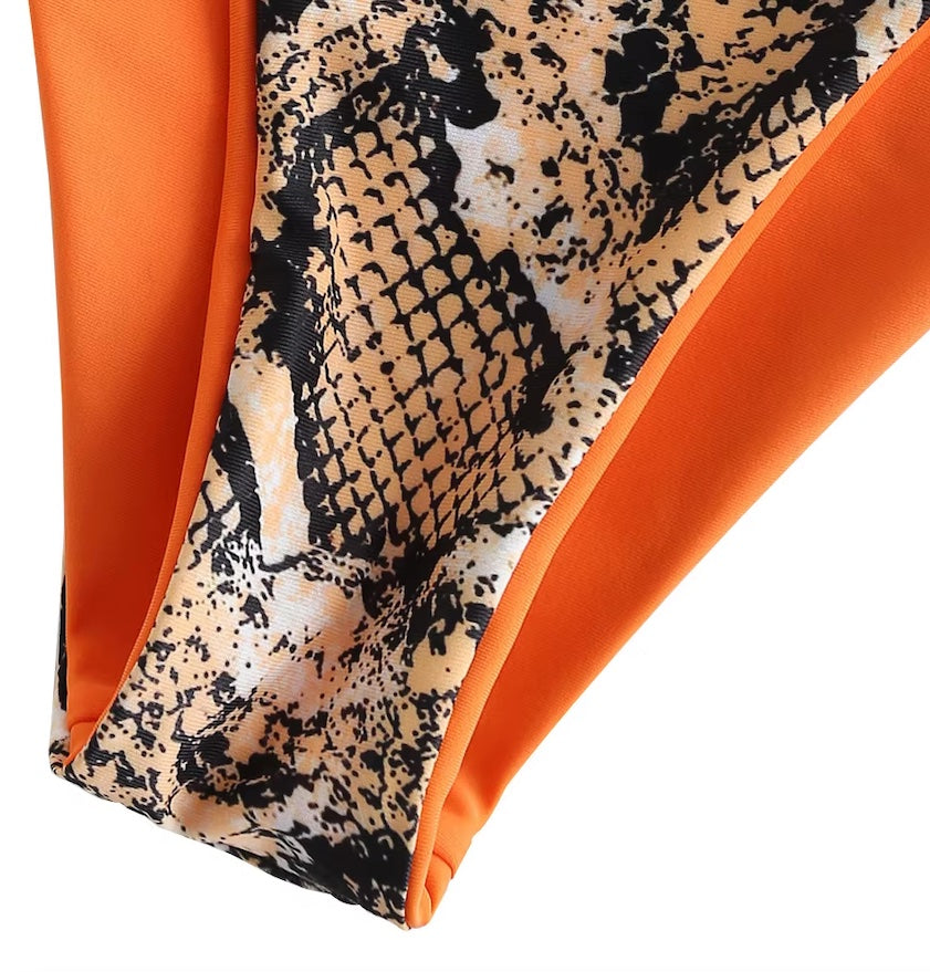 Reversible One-Shoulder Snake Print Bikini Set
