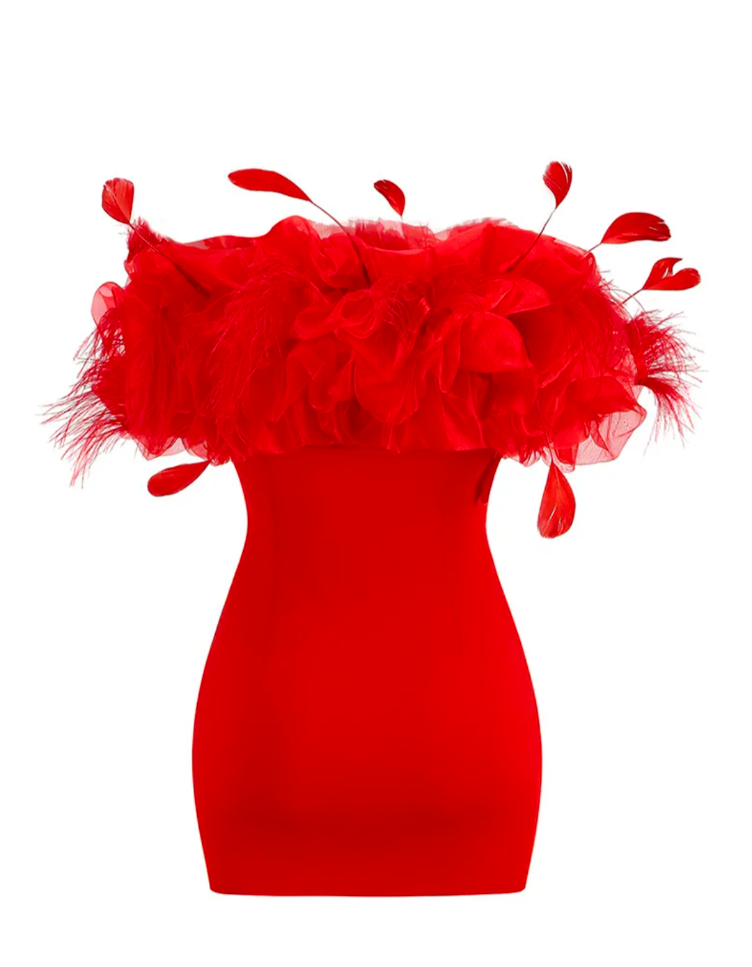 Little Red Feathered Dress