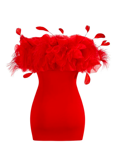 Little Red Feathered Dress