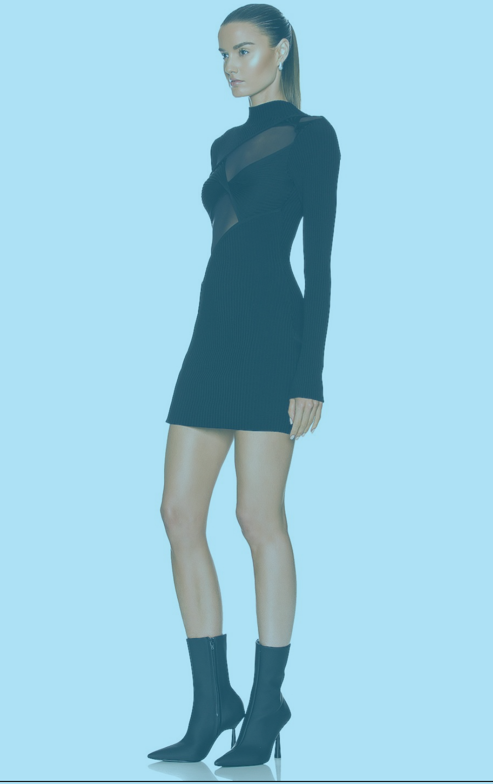 Bold Black Sheer Cutout Long Sleeve Mini Dress